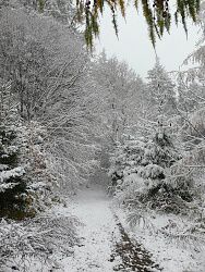 A podzim se změnil v zimu