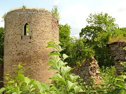 Zřícenina hradu Valdek