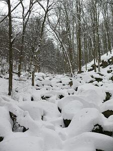 Zima ve Vlčí rokli