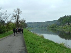 Medvědi v údolí Vltavy